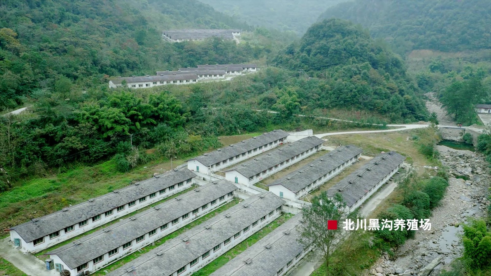 育種基地